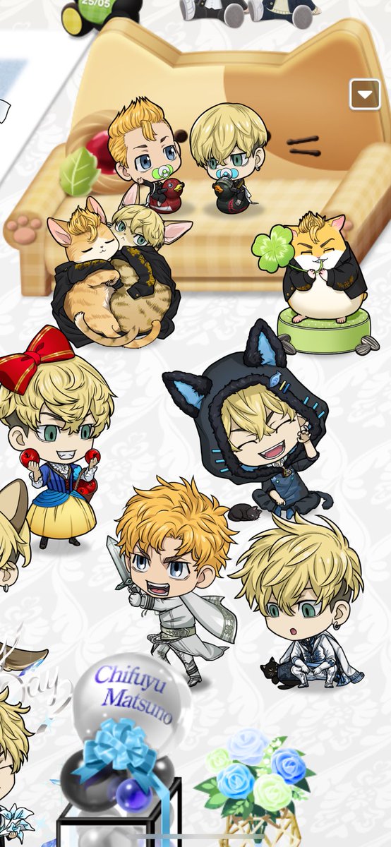 ねこちゃんゾーン🐾