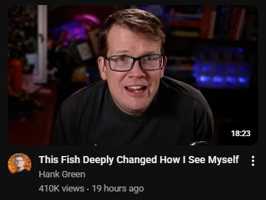 Cool Leaf tweet media