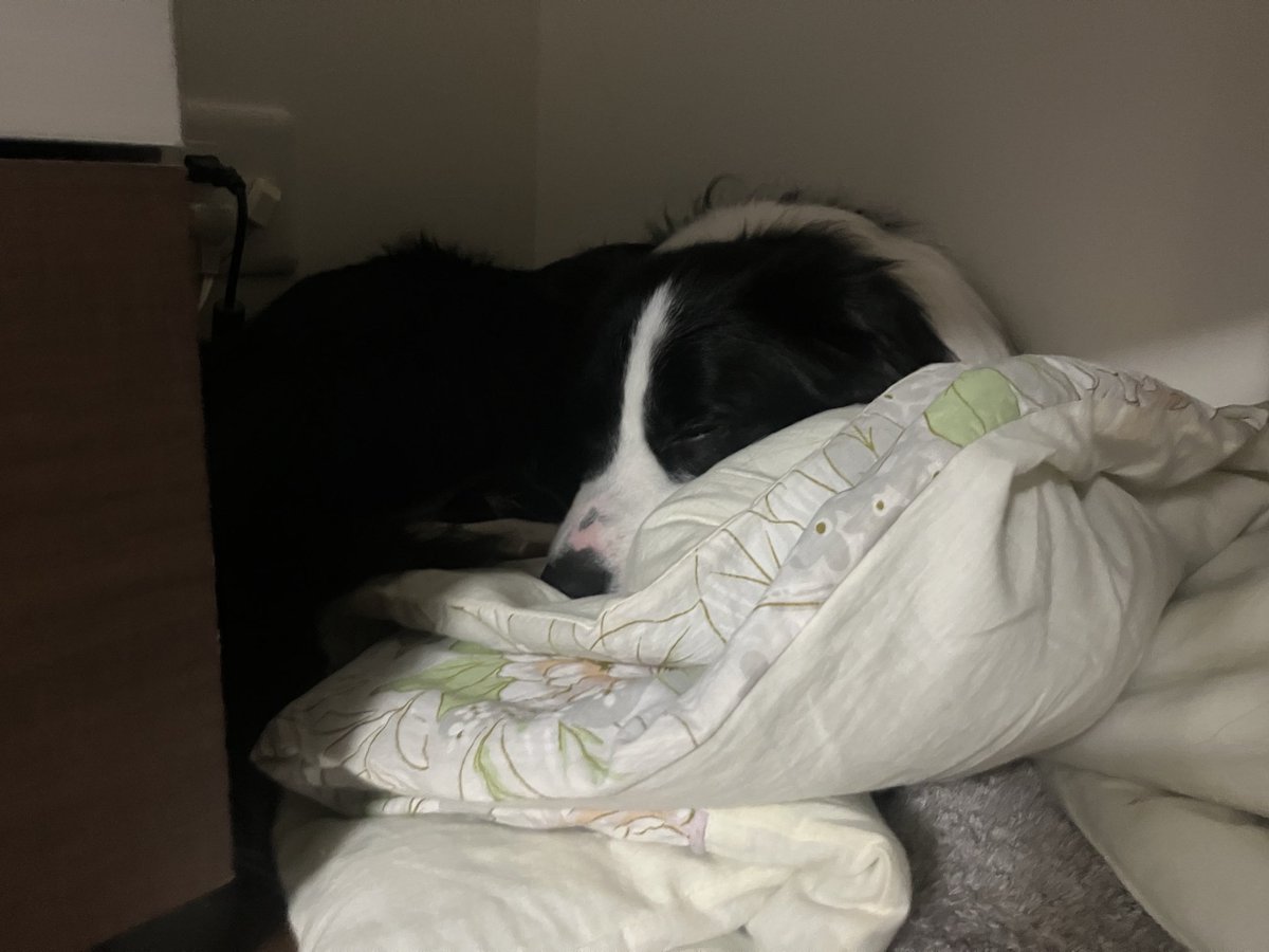 やっぱり狭いところが好きみたい。いい場所見つけたね