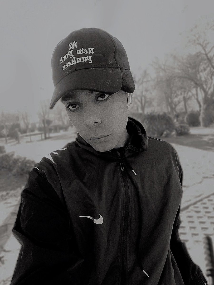 گربه رها شده tweet media