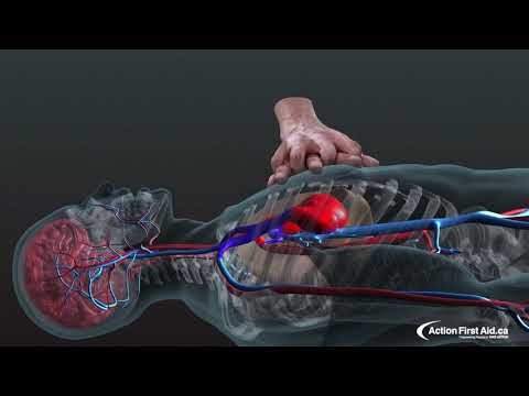 CPR in Action | A 3D look inside the body dlvr.it/TR488K
