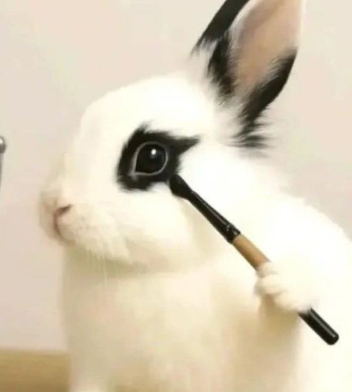 omar as bunny🐇 (@omarasbunny) on Twitter photo 