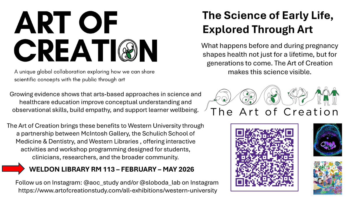 Dan Hardy tweet media