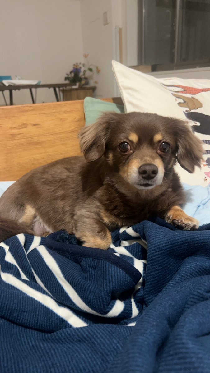 大久保佳代子 tweet media