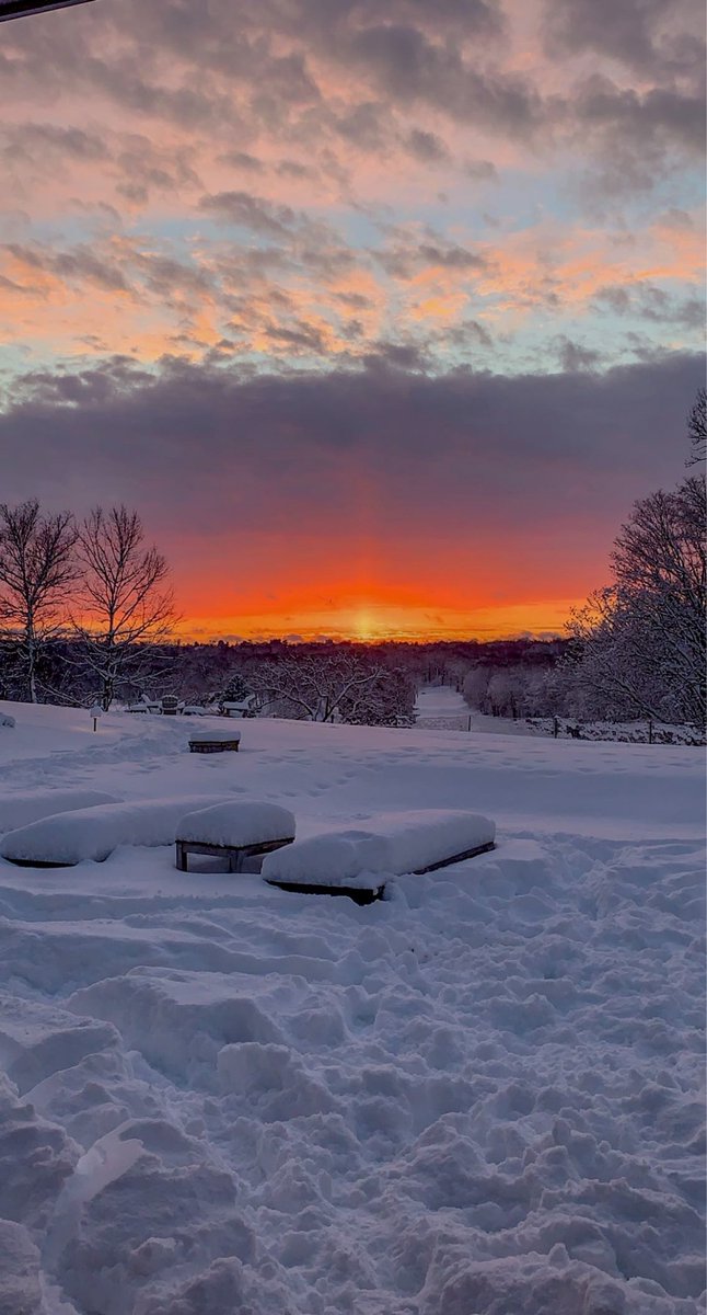 gas station dream girl tweet media