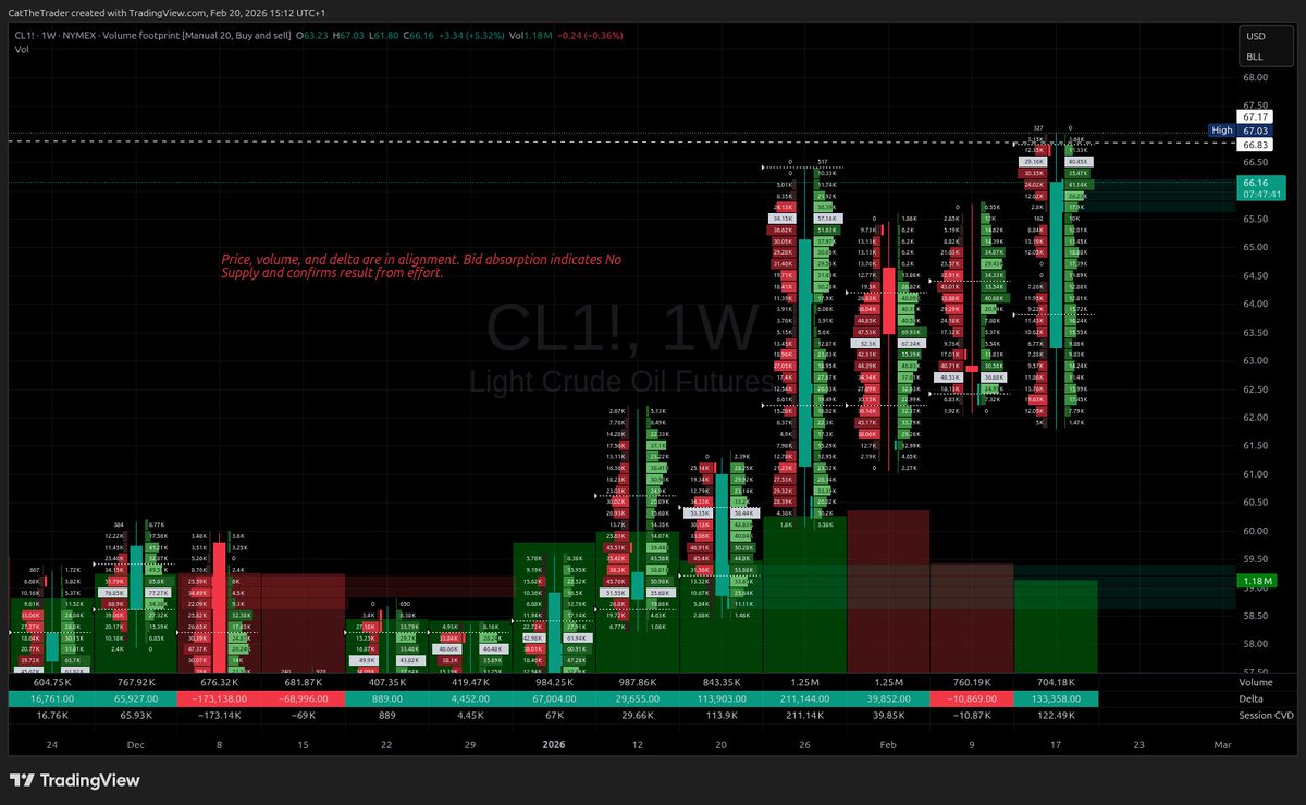 CatTheTrader's tweet photo. #TechnicalAnalysis
#Wyckoff
#VSA 
#Footprint
#WTI 
#Commodities https://t.co/ZVBLKvNjbX
