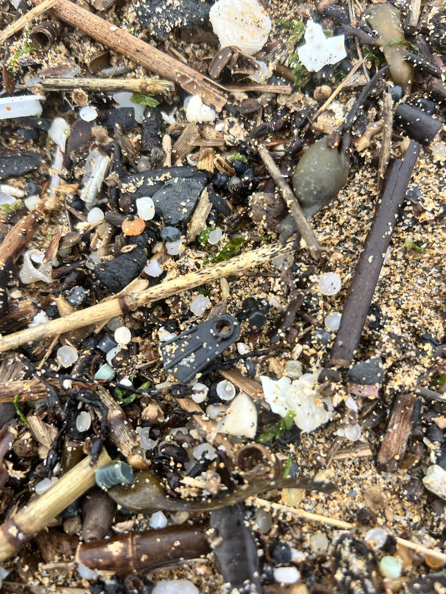 Carolyn G tweet media