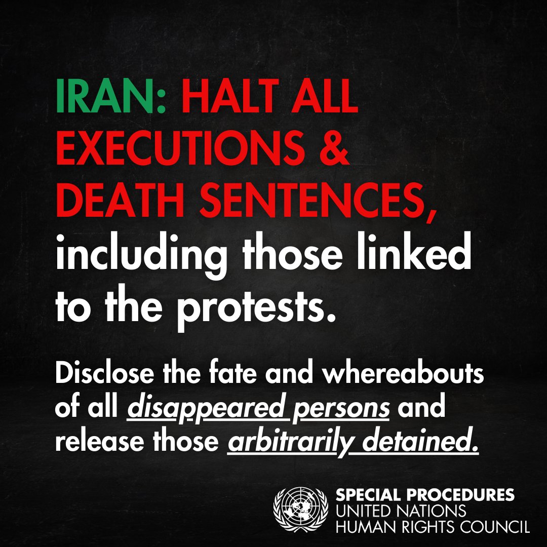 UN Special Procedures tweet media