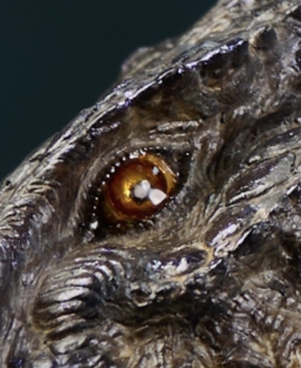 Mr. Goji  tweet media