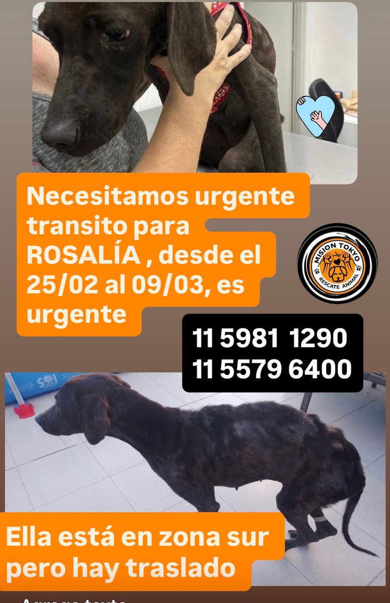 patripeyrou's tweet photo. Rt
Solo x 2 semanas!! https://t.co/hMOcmx6dyo