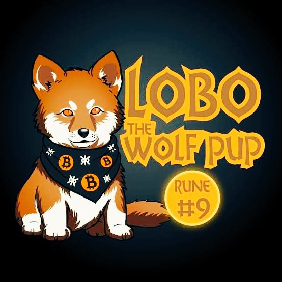 J. Branger tweet media