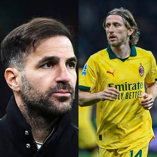 🔥 Cesc Fàbregas, tras haber enfrentado a Luka Modric en el Milan-Como: "Es un placer verlo jugar. Lo felicité... 41 años jugando a este nivel. Intentamos presionarlo, atacarlo. Le da igual (risas). Es un fenómeno. Tenemos que agradecerle que esté aquí con nosotros en la Serie A