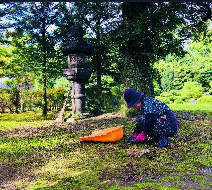 Mash Bonigala tweet media