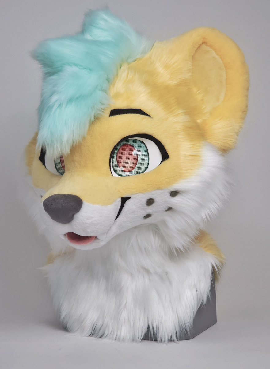 JellyDog tweet media