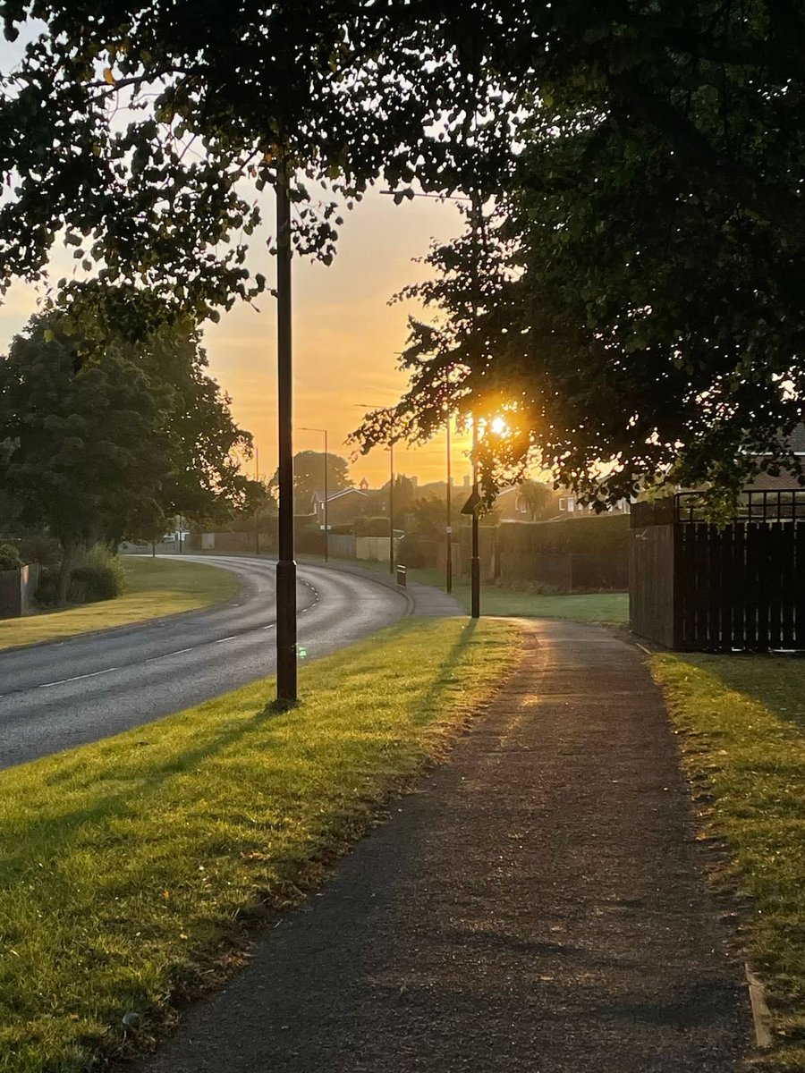 Sam Wilson tweet media