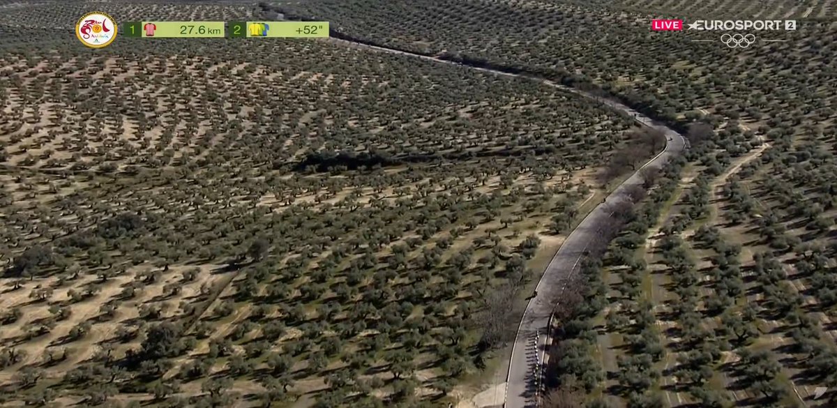 لقمان tweet media