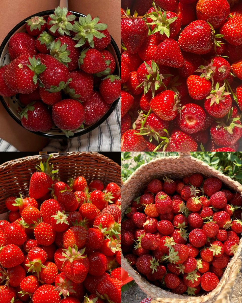 dearlybeloves's tweet image. strawberries 🍓