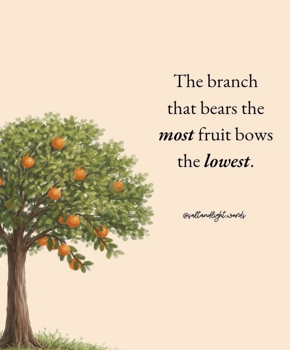 𝑺𝒂𝒎𝒂𝒏𝒕𝒉𝒂 𝑩𝒓𝒊𝒔𝒆𝒏𝒐 tweet media