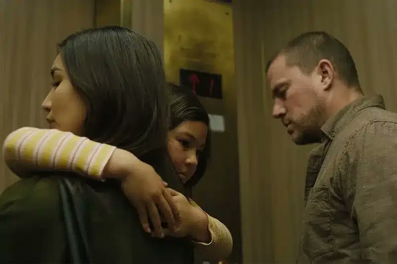 Beatriz Domínguez tweet media