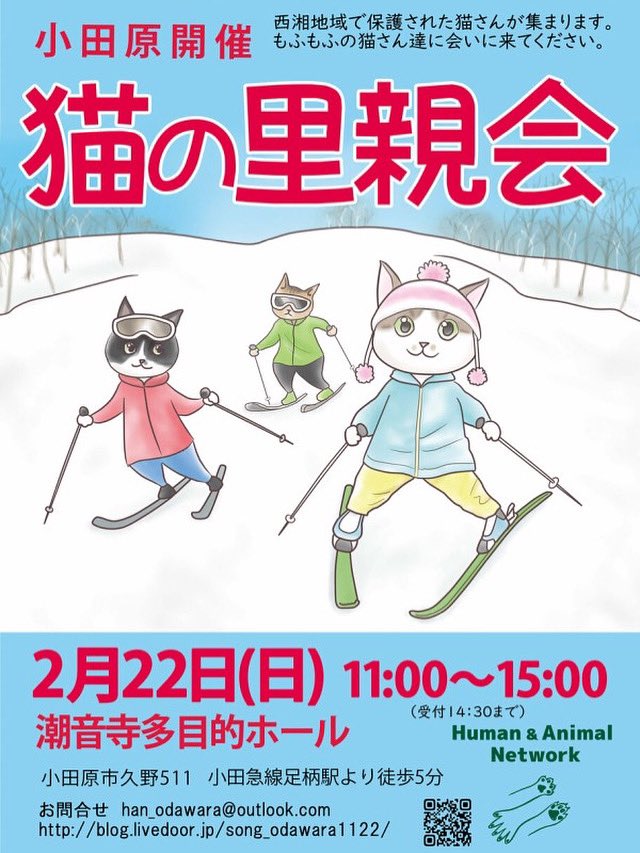 human_animal1's tweet photo. 2/22猫の日🐱
保護猫の里親会を開催します！

新しい家族を探している保護猫が17匹参加します！

ぜひお越しください🌸🐈 https://t.co/RaUGUnS97N
