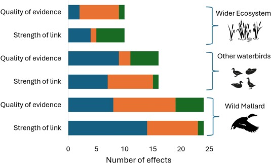 Pheasants@Exeter tweet media