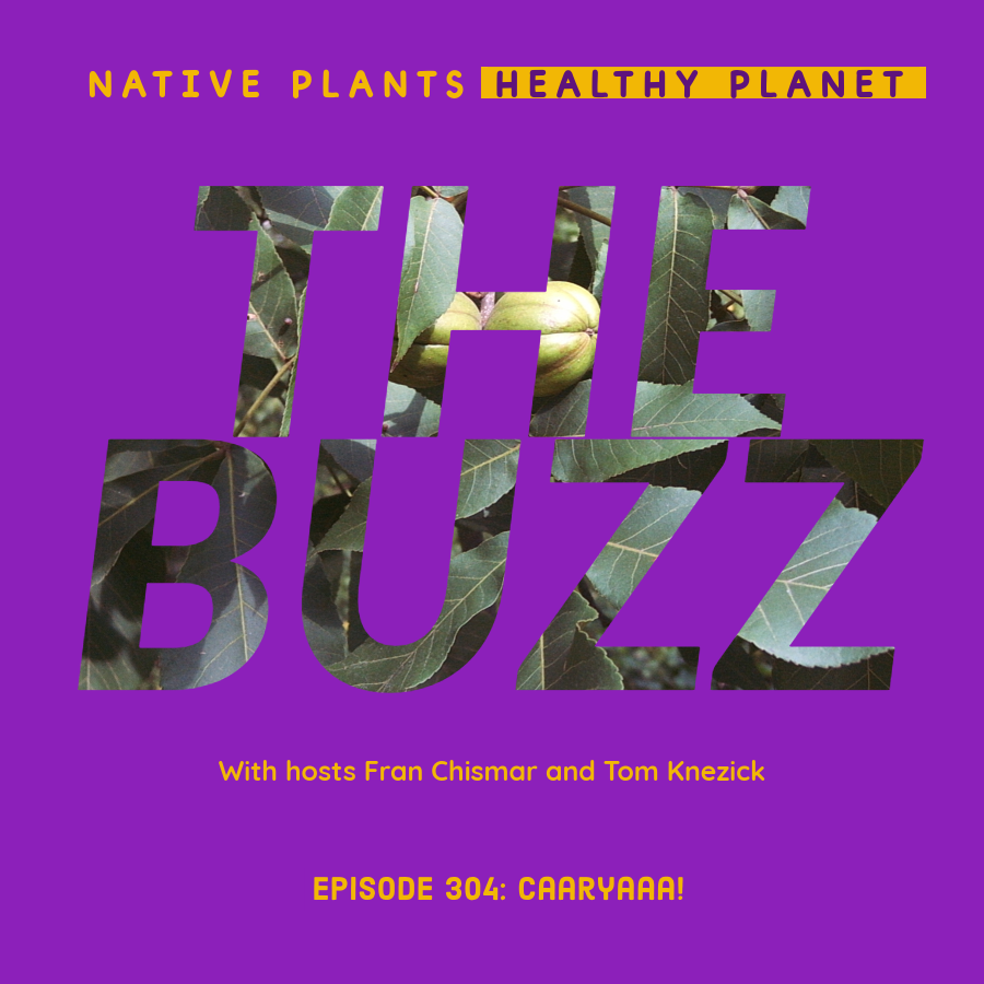 Pinelands Nursery tweet media