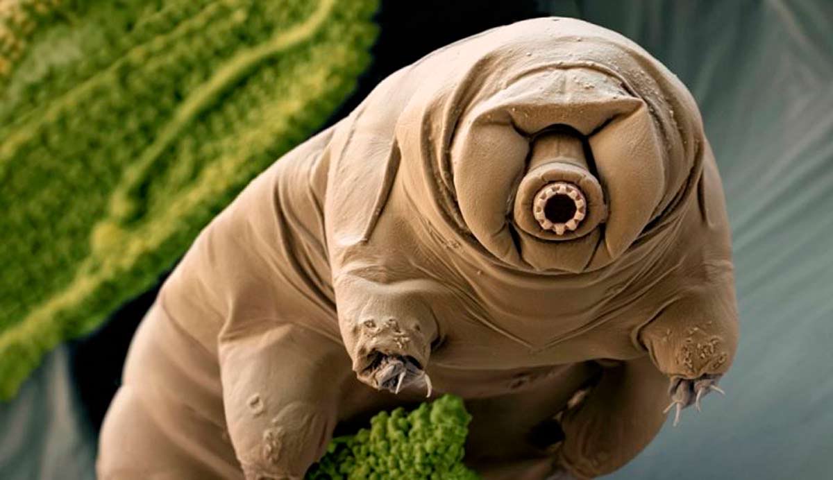 NoCardem tweet media