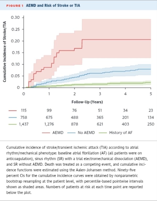 Ahmad Masri tweet media