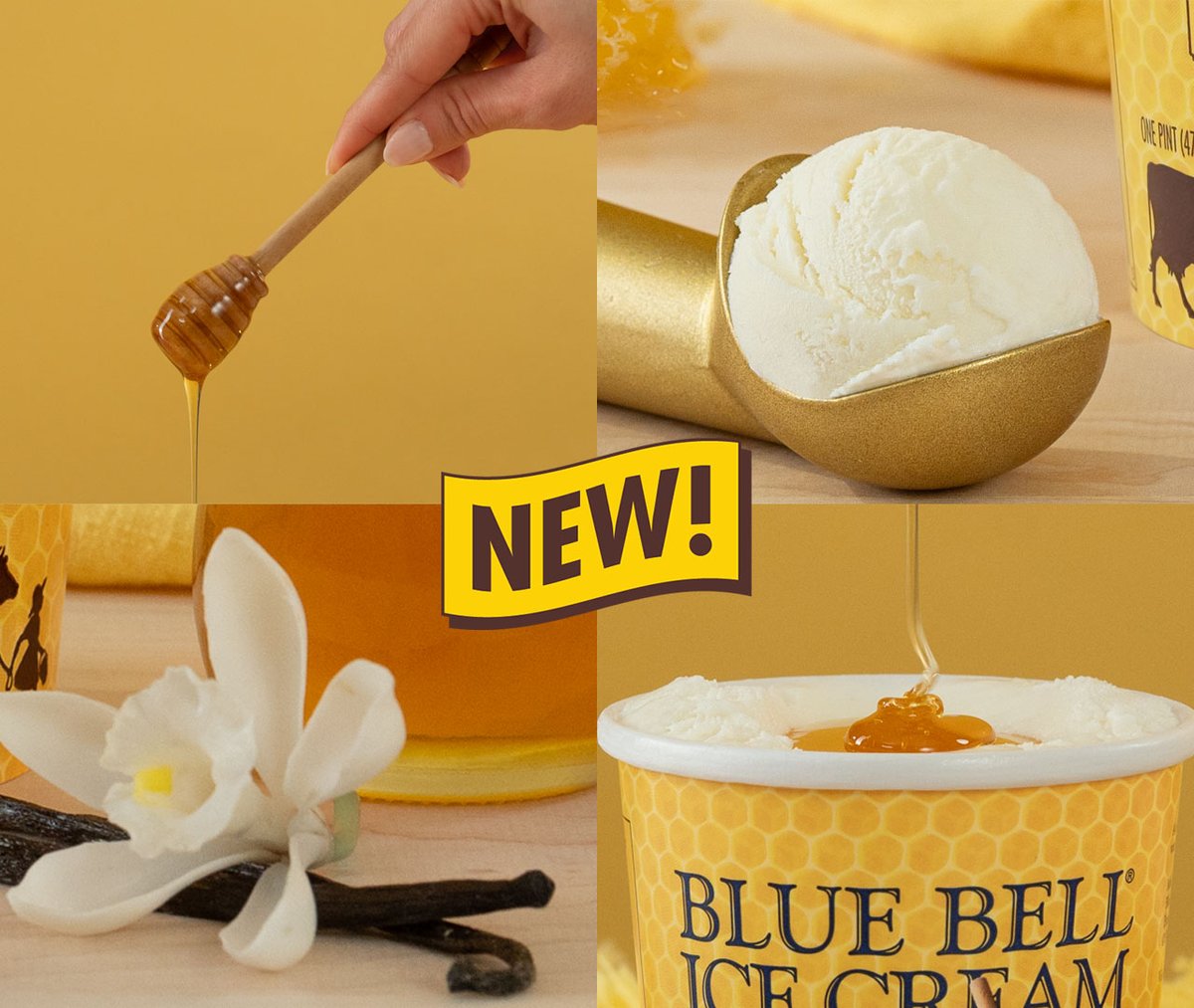 ILoveBlueBell's tweet photo. Honey, you’re going to love this! NEW flavor in stores beginning tomorrow. 🐝🍯🍦 https://t.co/mKotnRPMjW