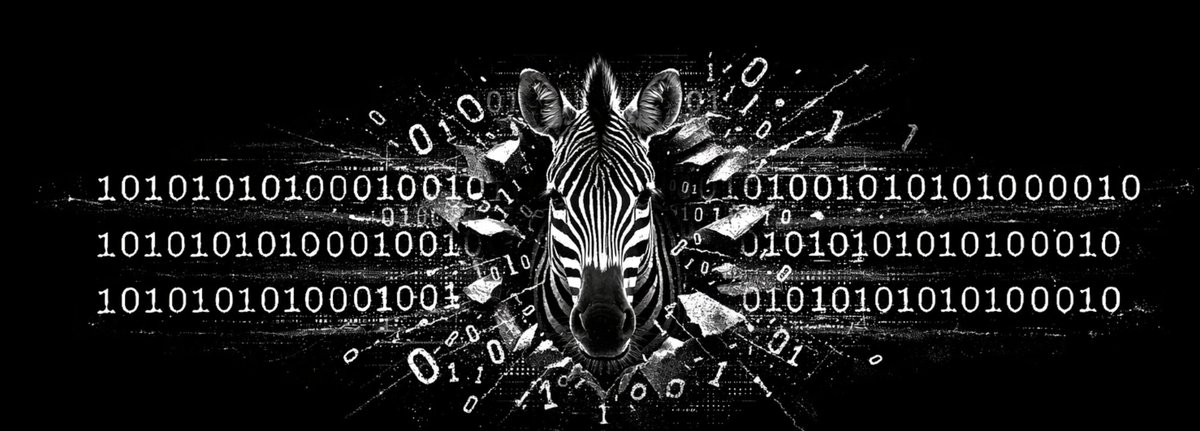 zec_fi's tweet photo. we must break free. 🛡️ https://t.co/gNBjsXxdWo