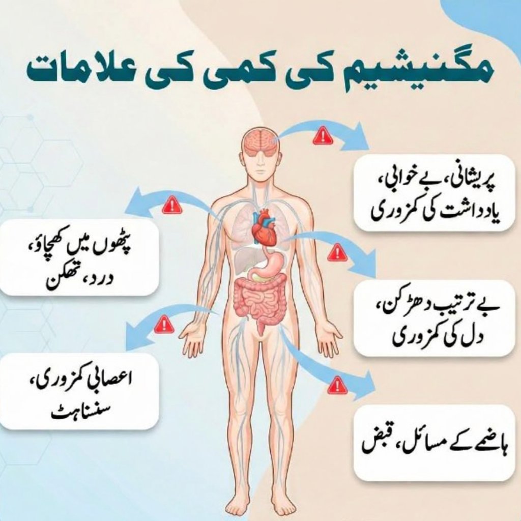 _Bur___'s tweet photo. میگنیشن کی کمی کی علامات https://t.co/7M0Q7W87Fe