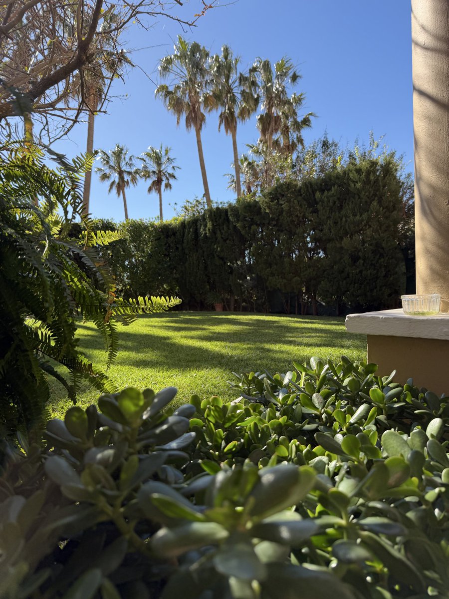 Gib1Wayne's tweet image. Gibraltar 🇬🇮 February 🌞 in casa #TeamSean #ForwardAlwaysForward
#MentalHealthMatters with 🔵 sky &amp;amp; a 🟢 garden &amp;amp; some  essential Vit D certainly helping with controlling the #Wibble