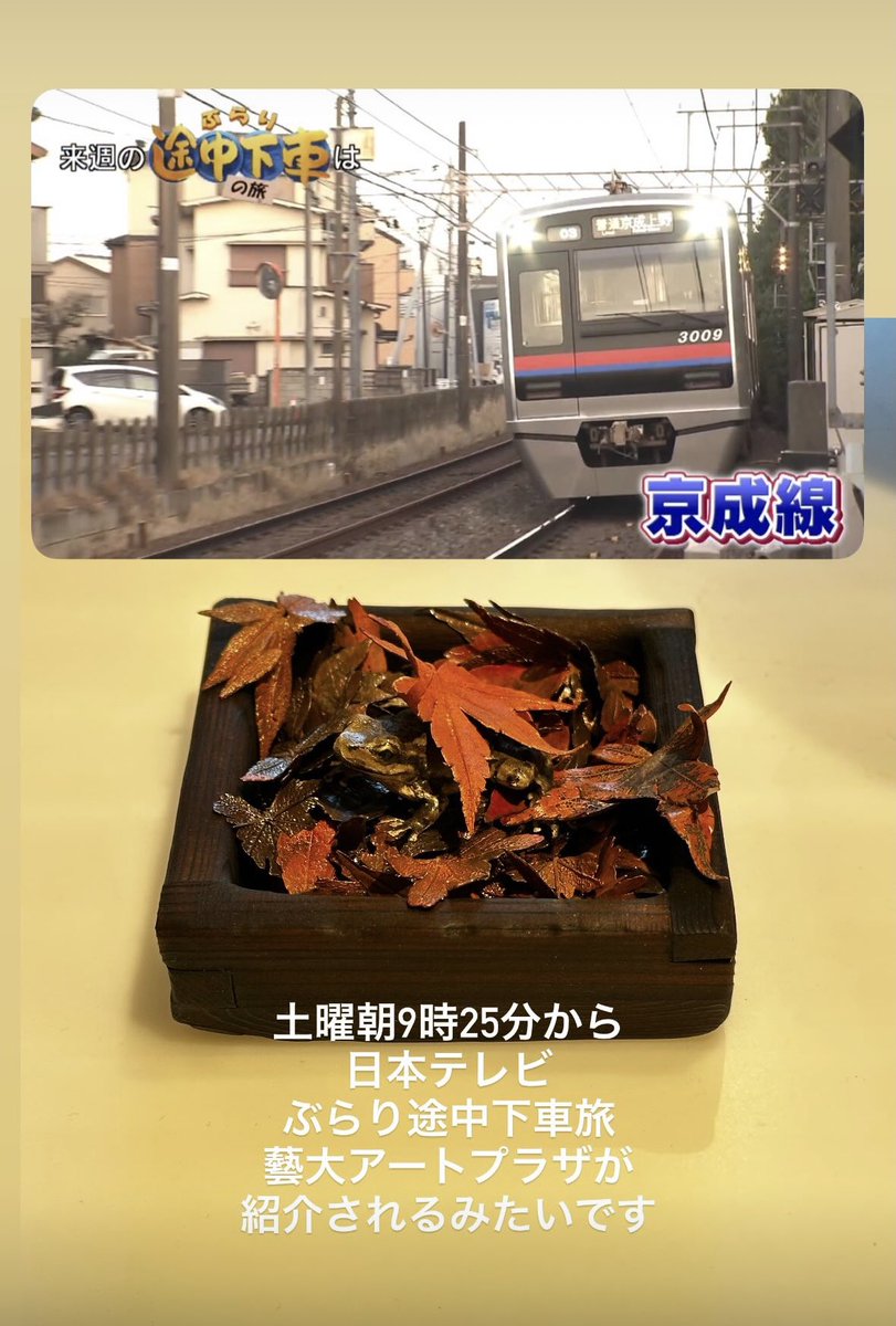 河崎海斗 tweet media