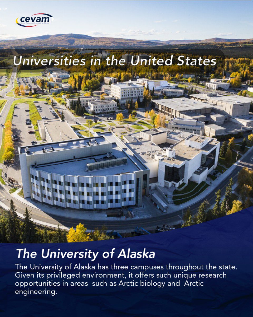 ¿Las universidades en EE. UU. son realmente como en las películas? 🍿🎬 ¡Es hora de descubrirlo!

 Conversaremos  este mes sobre algunos aspectos importantes de las universidades estadounidenses.