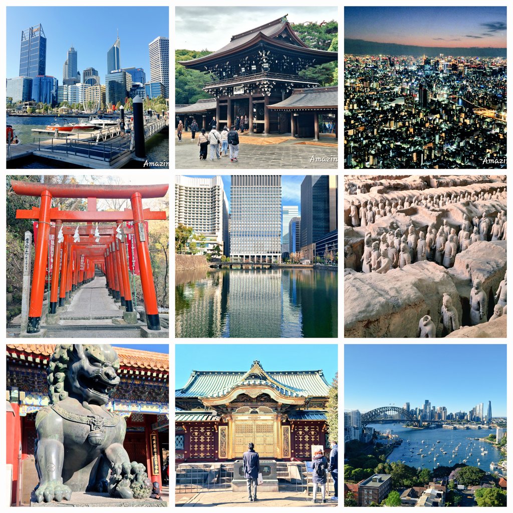 Amazing Bill✈️📸 tweet media