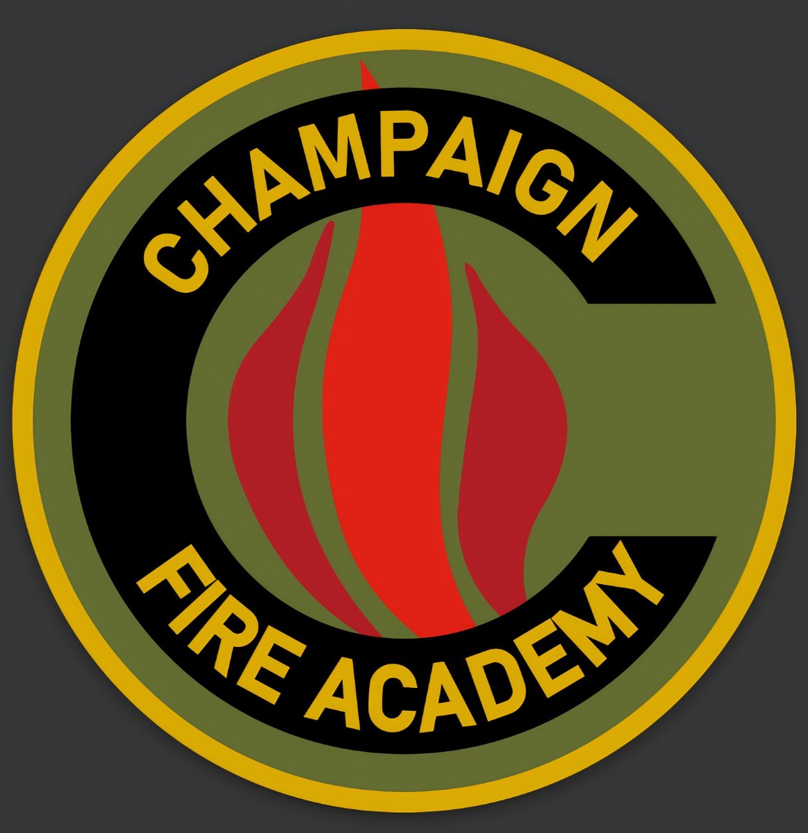 Champaign Fire Dept tweet media