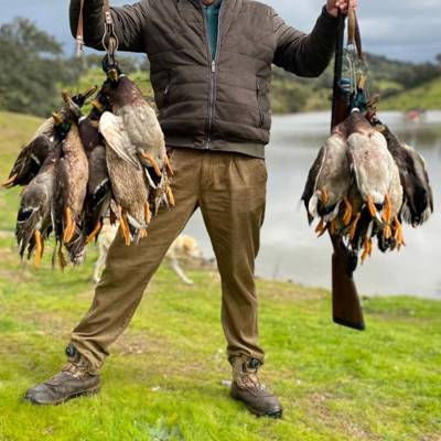 Pheasants@Exeter tweet media