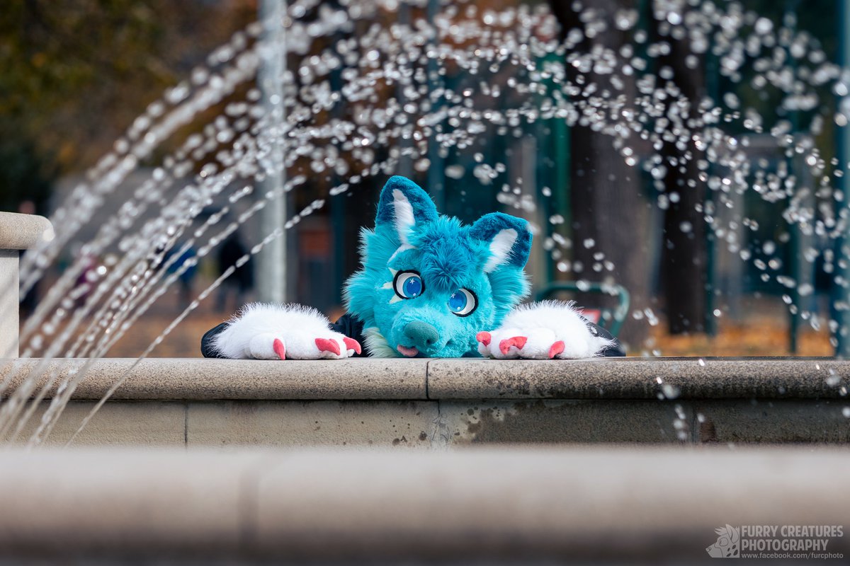 mato_husky tweet media