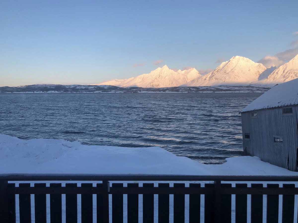 Simon Wood tweet media