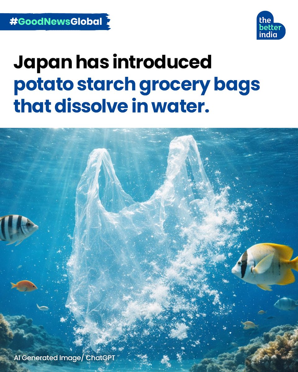 thebetterindia's tweet photo. Japan has unveiled shopping bags made from potato starch that dissolve in water within minutes!

The plastic is non-toxic, food-safe, recyclable, and completely free of microplastics.

Once it dissolves, naturally occurring bacteria convert it into nutrients — not pollution.

If scaled globally, innovations like this could help prevent:
• 100,000 marine mammal deaths every year
• Over 1 million seabird deaths
• Billions of microplastic exposures across the food chain
• Coral diseases linked to plastic waste

With India generating 9.3 million tonnes of plastic waste annually, should this be adopted urgently?

#Sustainability #PlasticPollution #JapanInnovation #OceanConservation #GoodNewsGlobal

[Good News Global, Pollution, Sustainability, Plastic Prevention, Japan Scientists, University of Tokyo, Ocean Conservation]