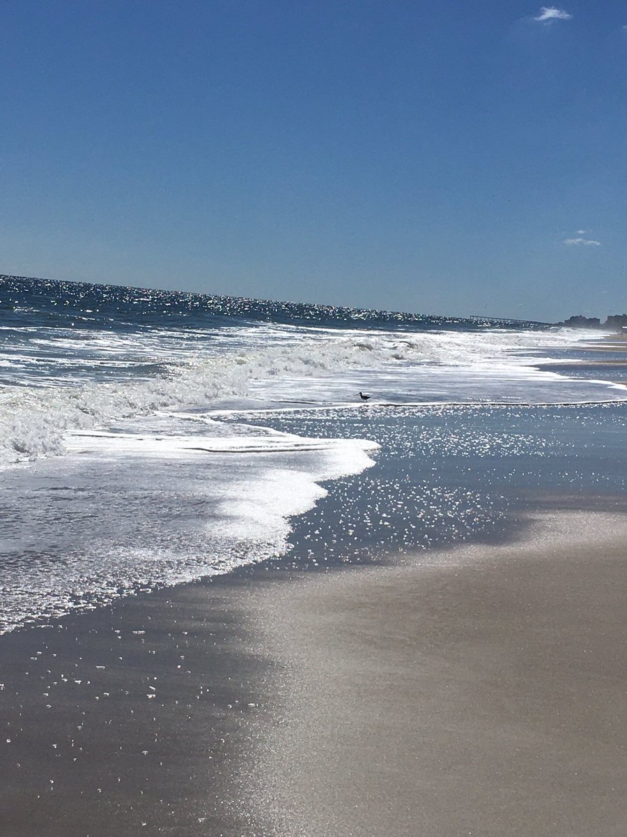 <a href="/parthosarathi_b/">Partho</a> Beautiful shot. Having a beach all to yourself, except for the gulls, to me is true #Tranquillity ⛱️
