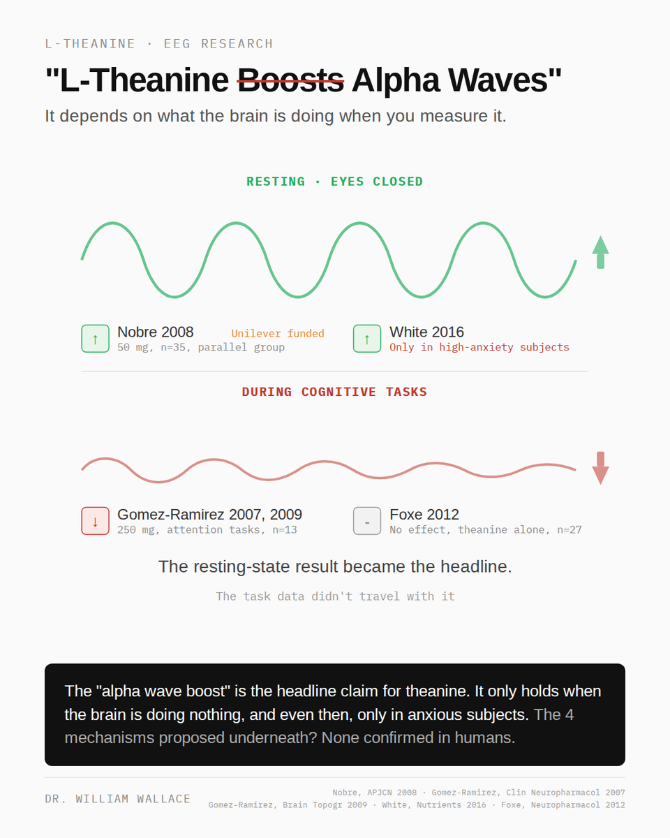 "L-theanine boosts alpha waves" is probably the most-repeated claim about theanine. It shows up on product pages, in influencer posts, in brand infographics, etc. The EEG research behind it tells a more complicated story.

Firstly, I like L-theanine quite a bit. Anecdotally, it