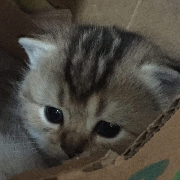 ผมเหน่ยมาก ขอจุ้บแก้มนุ่มสักทีได้ป่าว

ก้ด่าย (หลายๆจุ้บมะได้อ้อ)