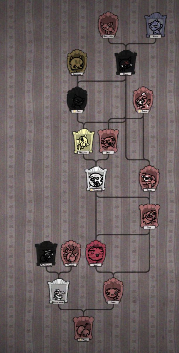 Mr. Connongus 🏮🌻🐀 tweet media