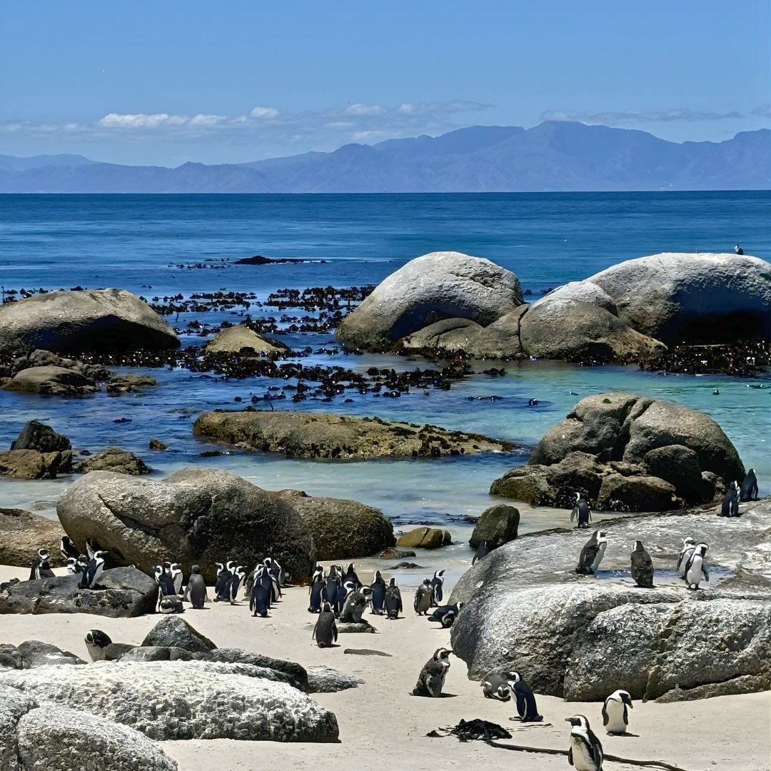 President Hotel tweet media