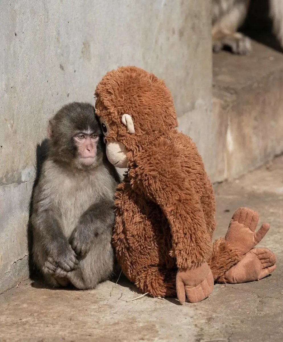 Cœur sur toi, Punch ! ❤️