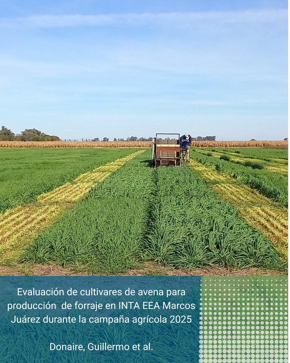 INTA Marcos Juárez tweet media