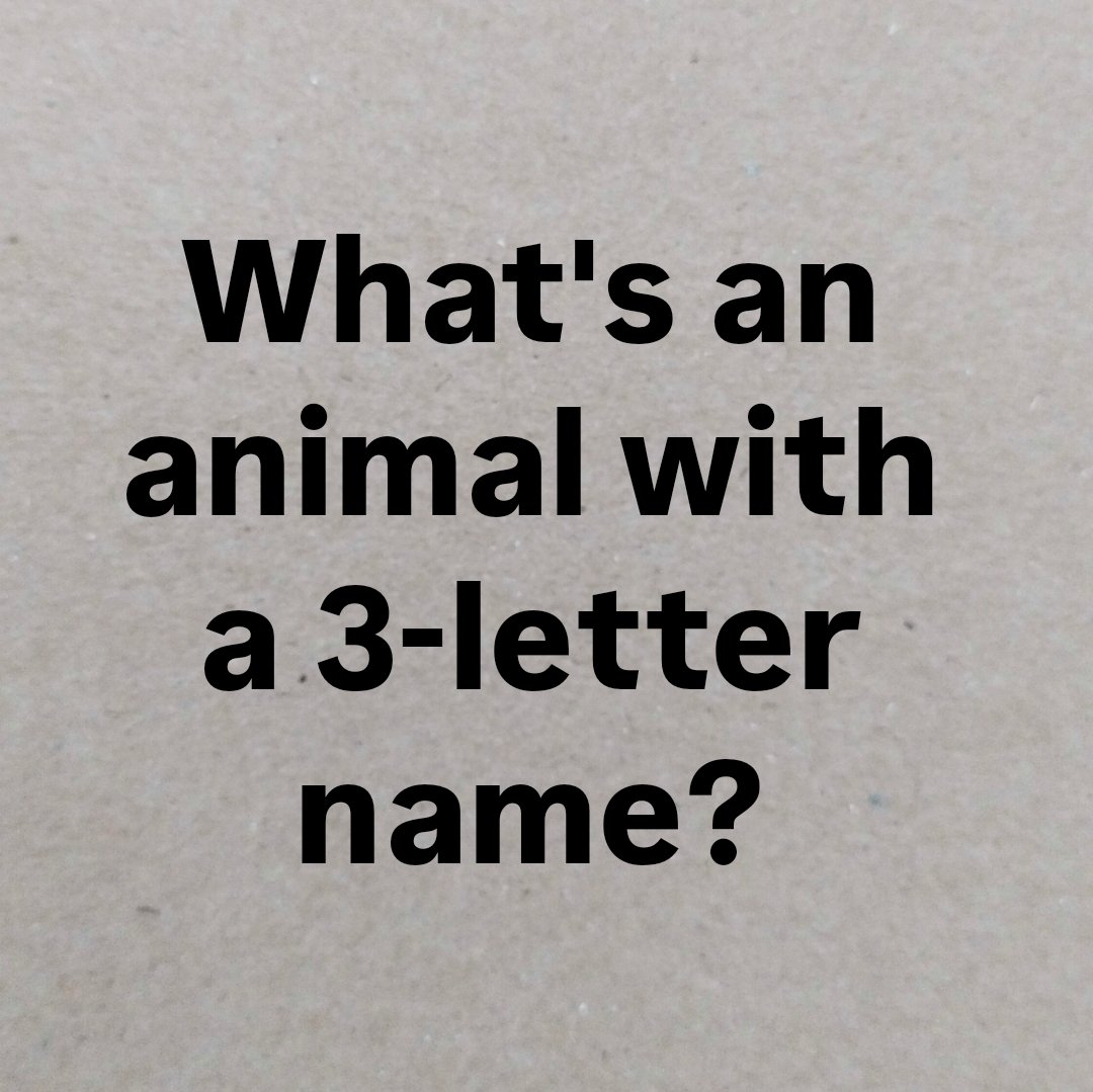 Feelings ღ tweet media