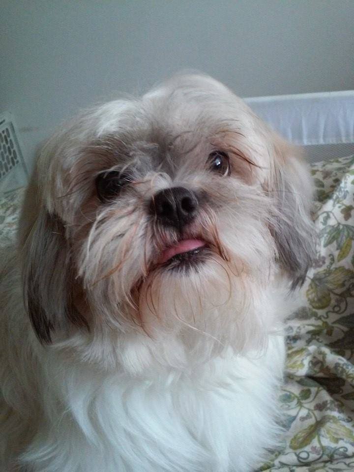 FatMexican'sMom tweet media