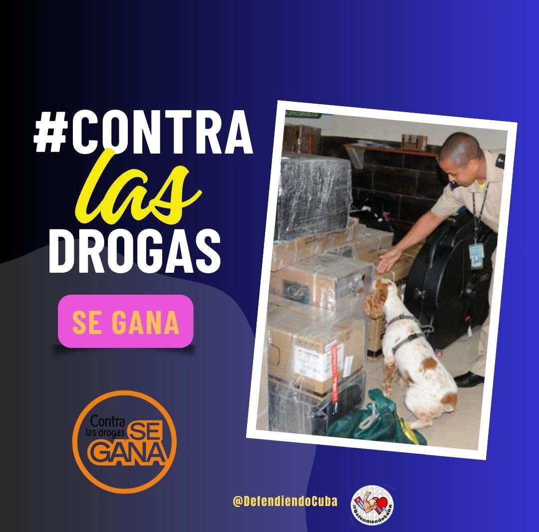 Familia unida, sociedad protegida El amor y el apoyo son la mejor arma contra las drogas. #ContraLasDrogasSeGana